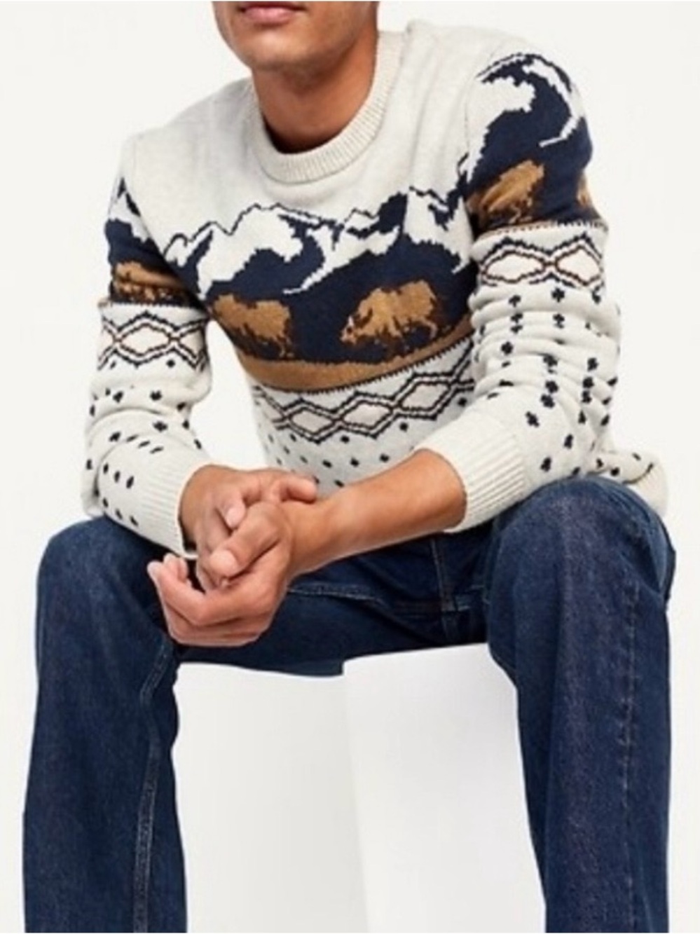 Old Navy SoSoft Men's Mountain & Bison Crewneck Sweater Size XL